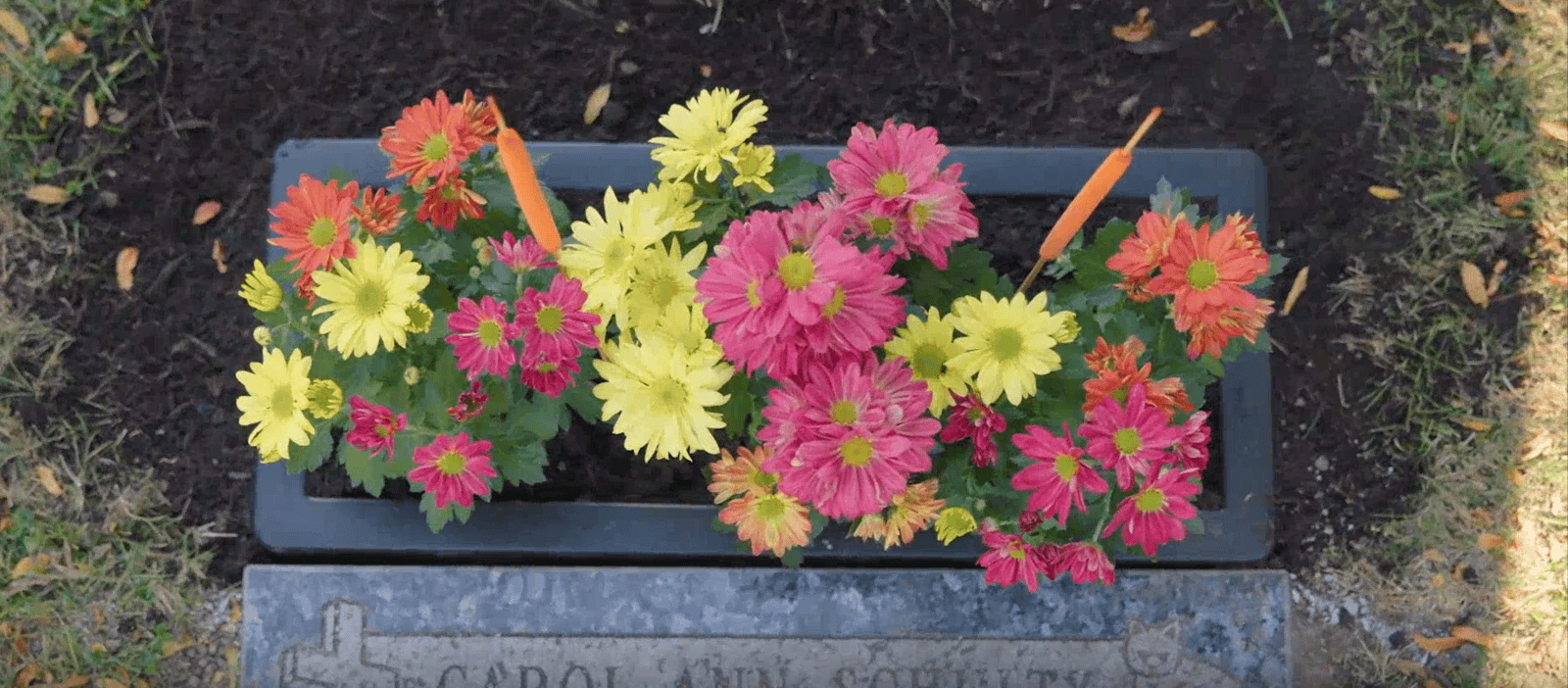 Exquisite Fragrance Collection